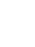 Sea Light Studio